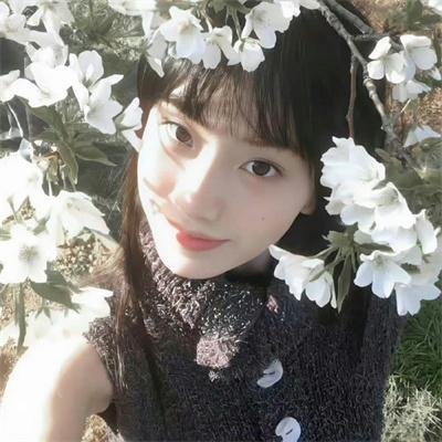 香岛美人窝